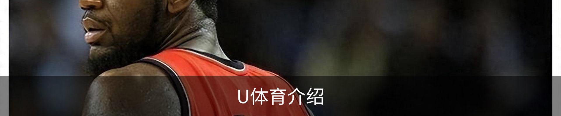 U体育介绍